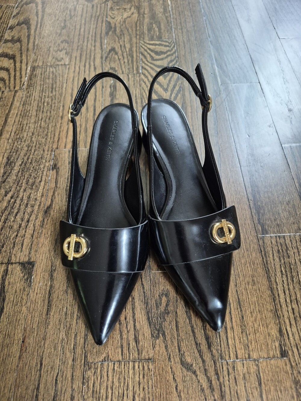 Charles & Keith Black Pointed Slingback Flats with Gold Accent Buckle